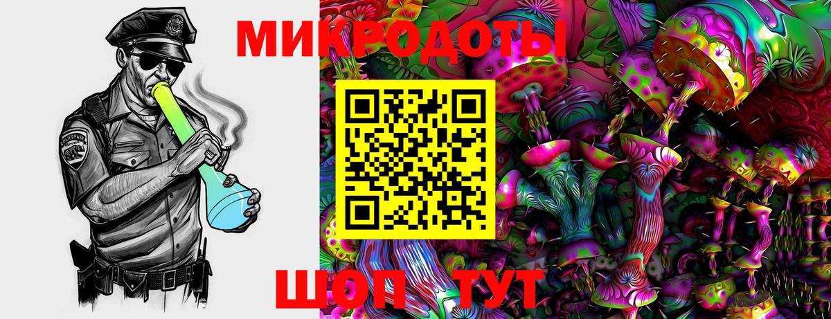 где найти   Вход с VPN  Унеча  Галлюциногенные грибы GOLDEN TEACHER 