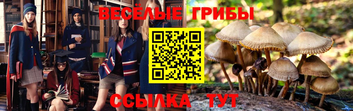 Галлюциногенные грибы MAGIC MUSHROOMS Унеча